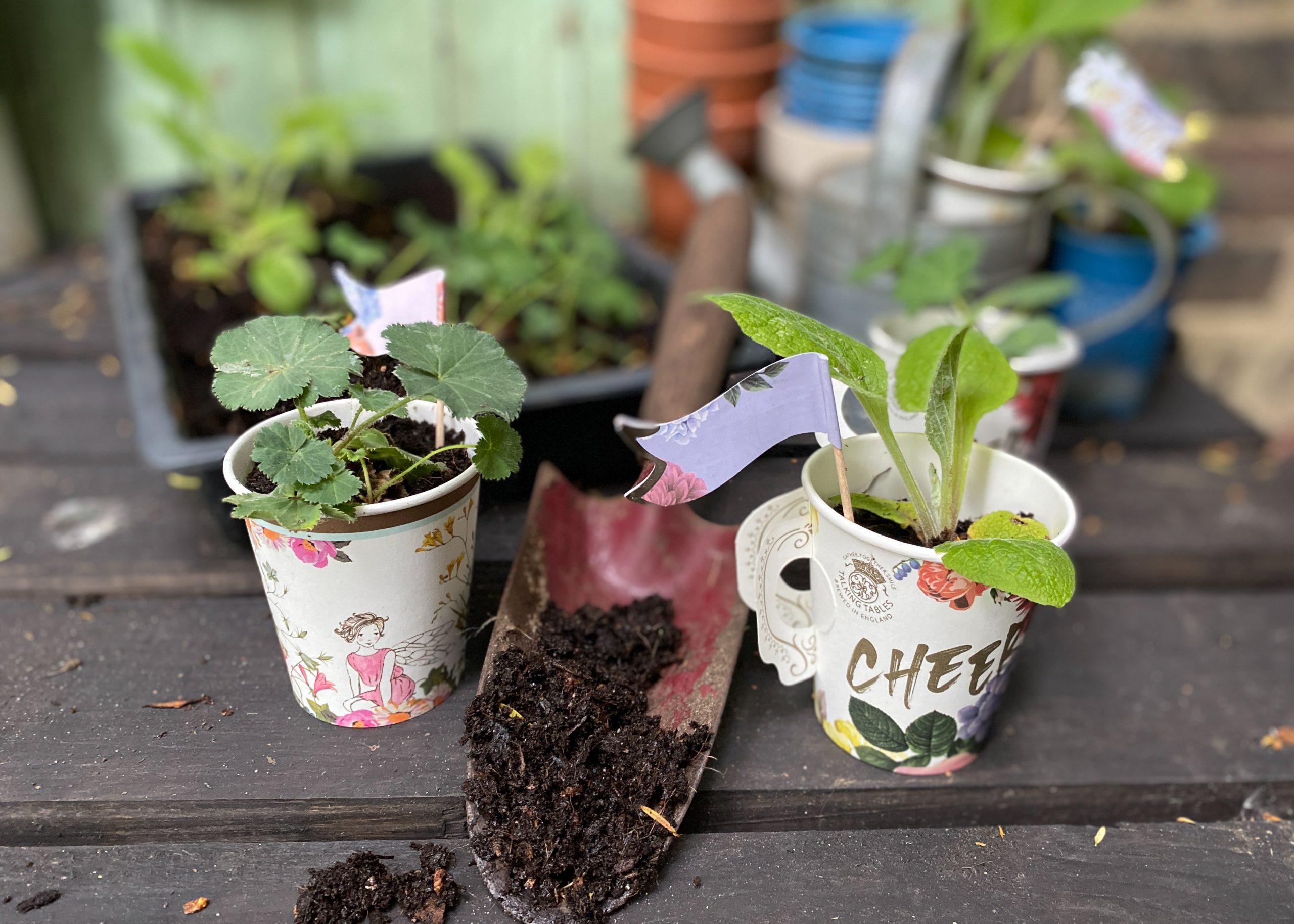 Paper cups to plant pots - National Garden Scheme