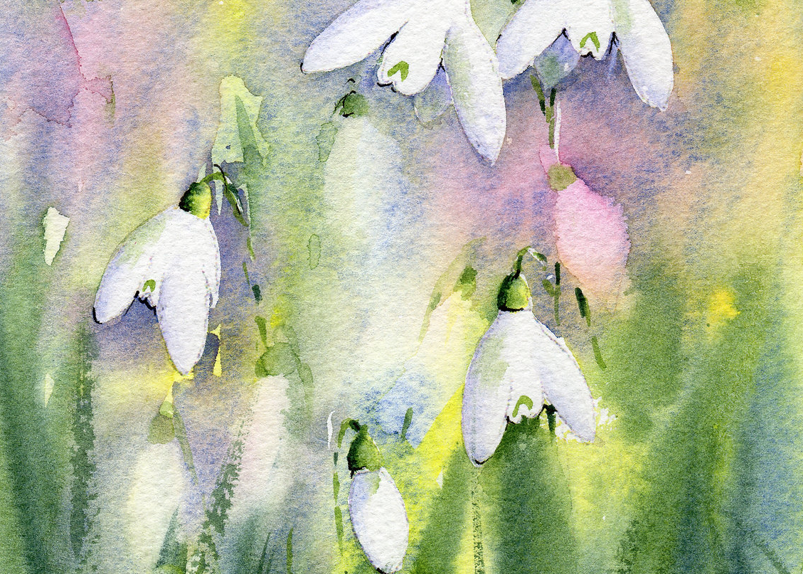 watercolour snowdrops