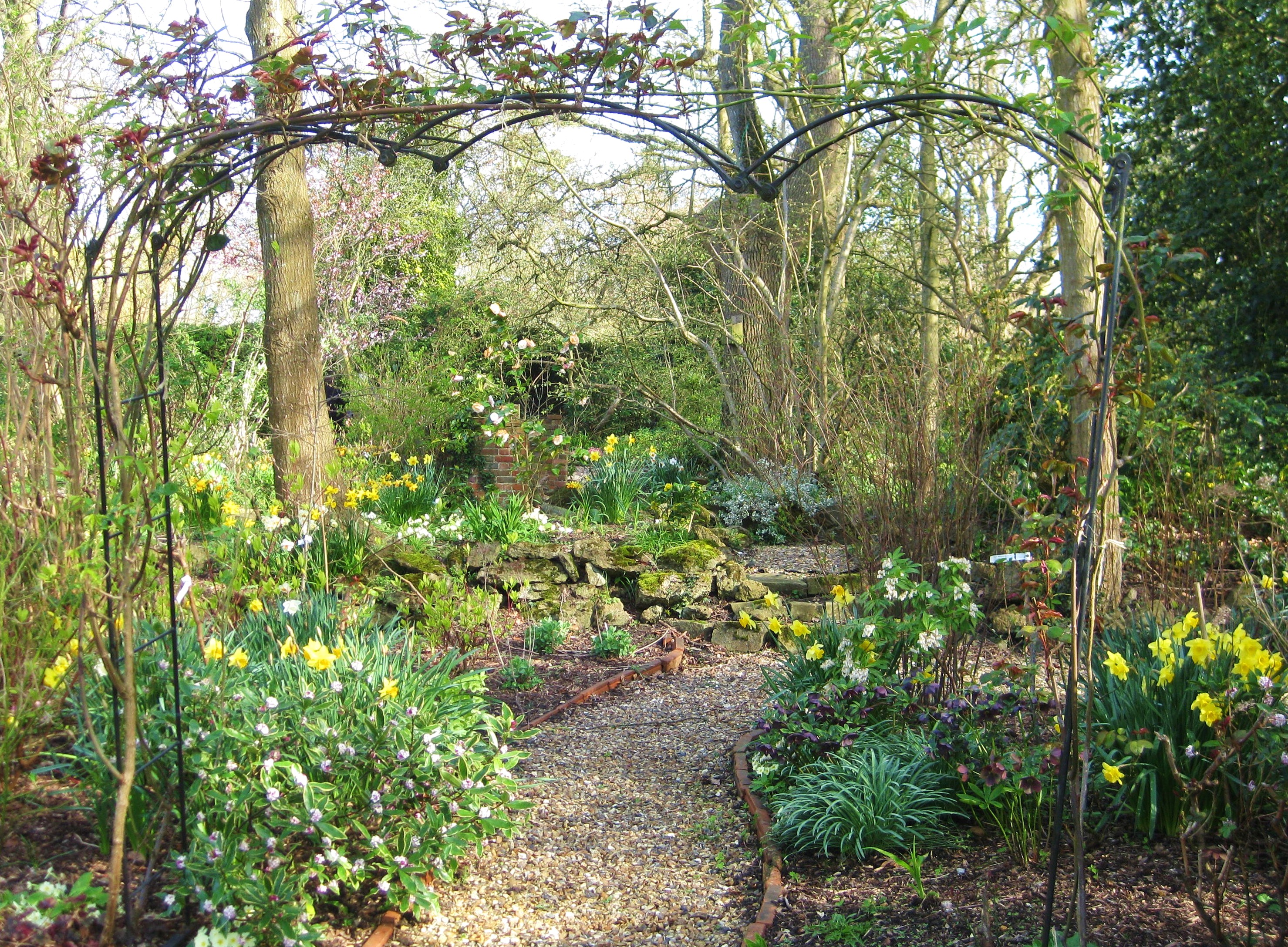 Compton-Elms-woodland-path