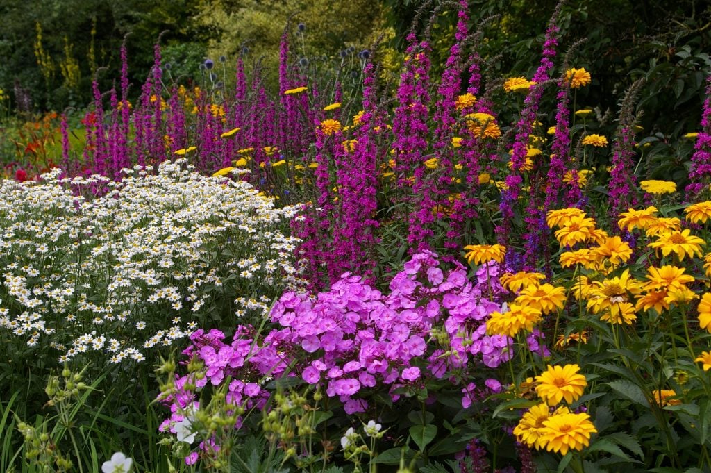 Clare College Fellows' Garden