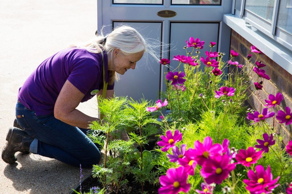 Gardens and health beneficiaries - National Garden Scheme