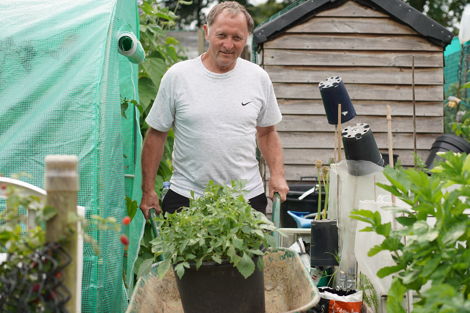 Man in allotment