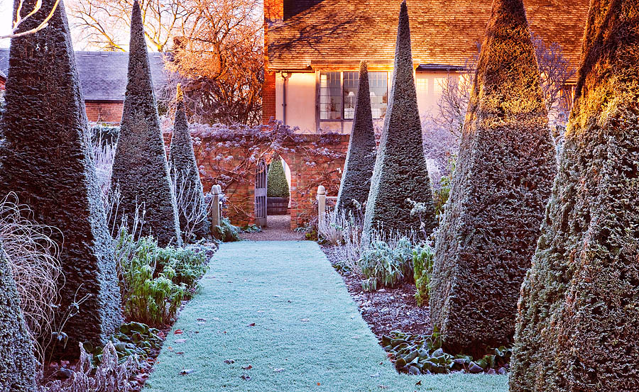 Frosty garden scene