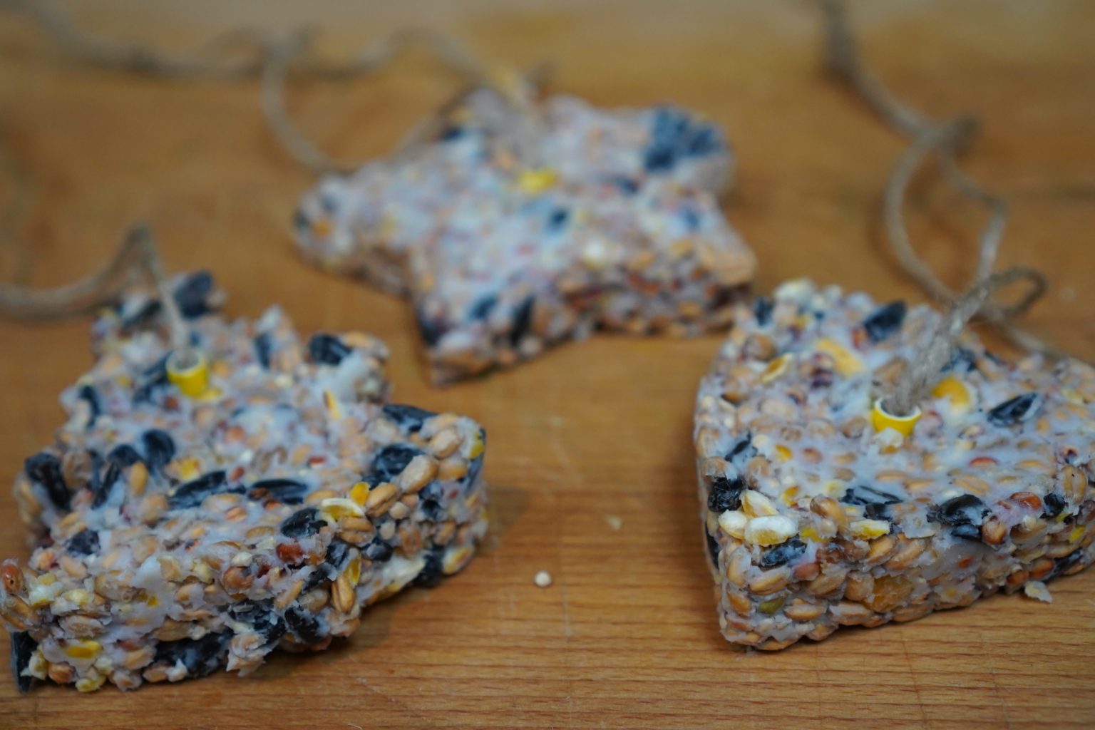 How to make bird seed cakes National Garden Scheme