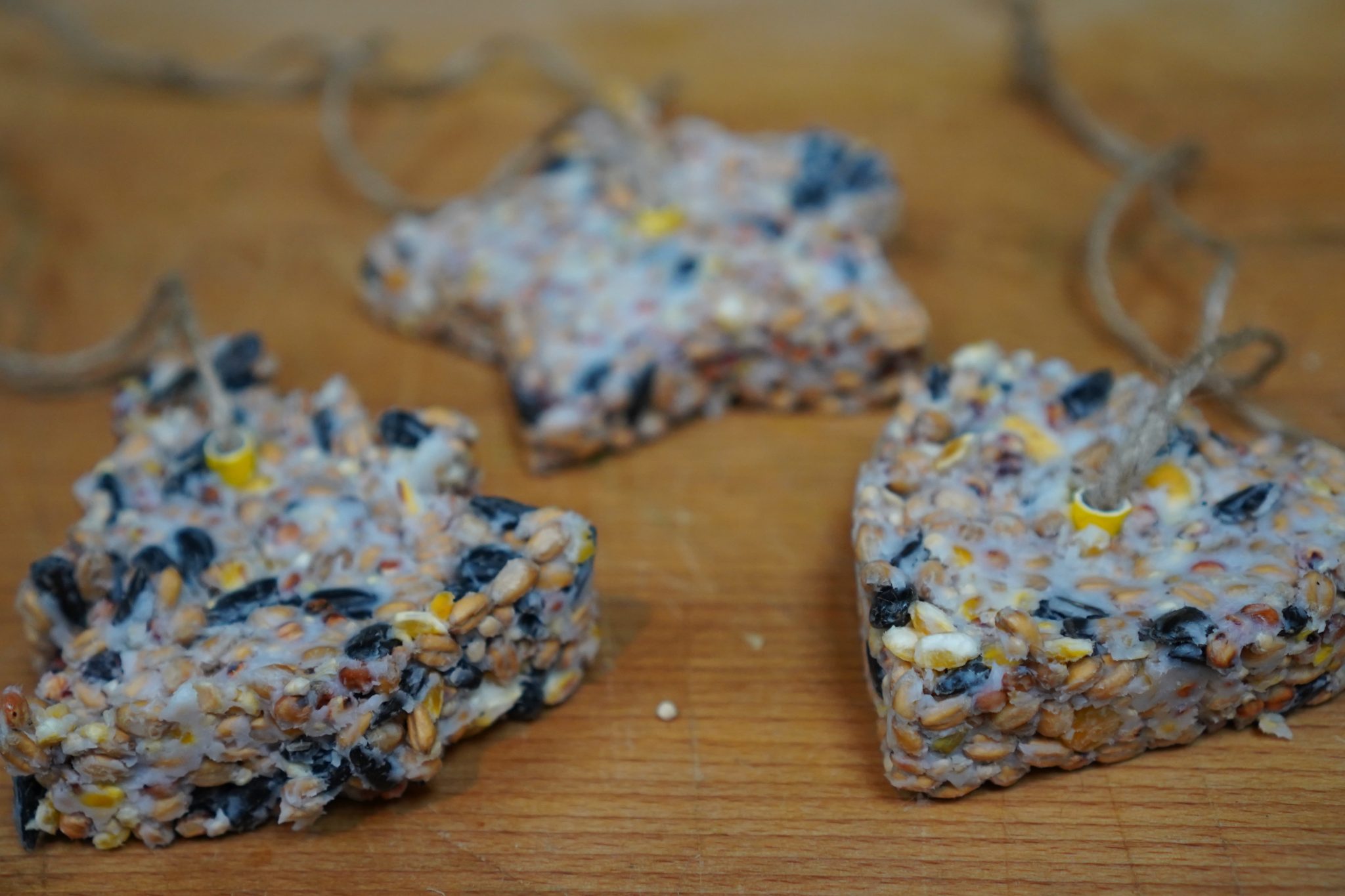 How to make bird seed cakes National Garden Scheme