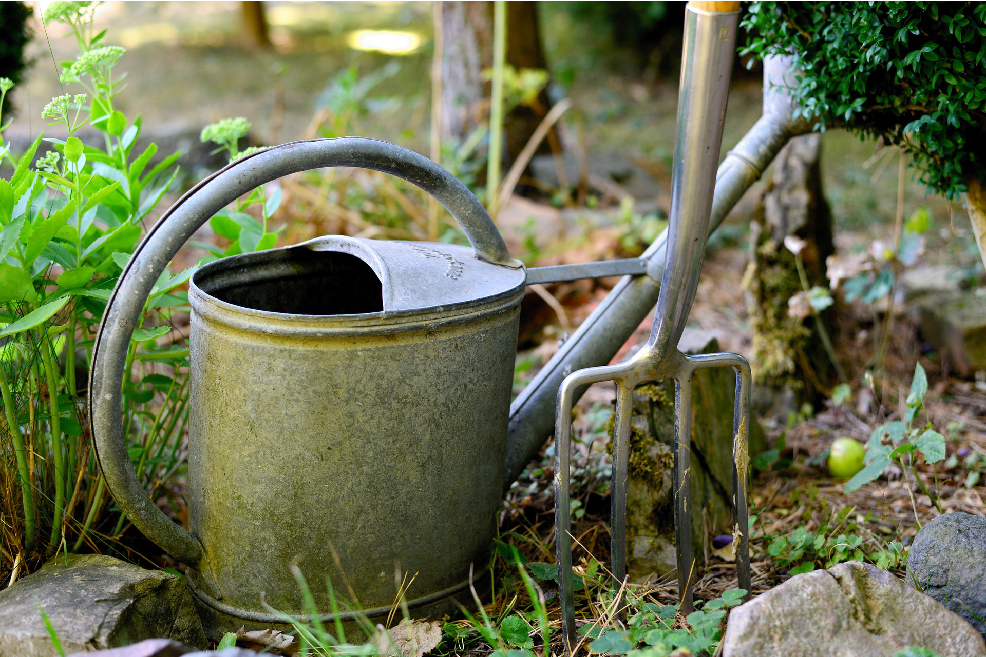 watering can