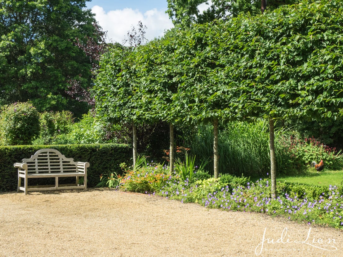 Trees in gardens – dignifying the ordinary - National Garden Scheme