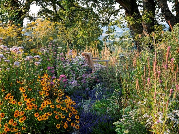 Lush borders