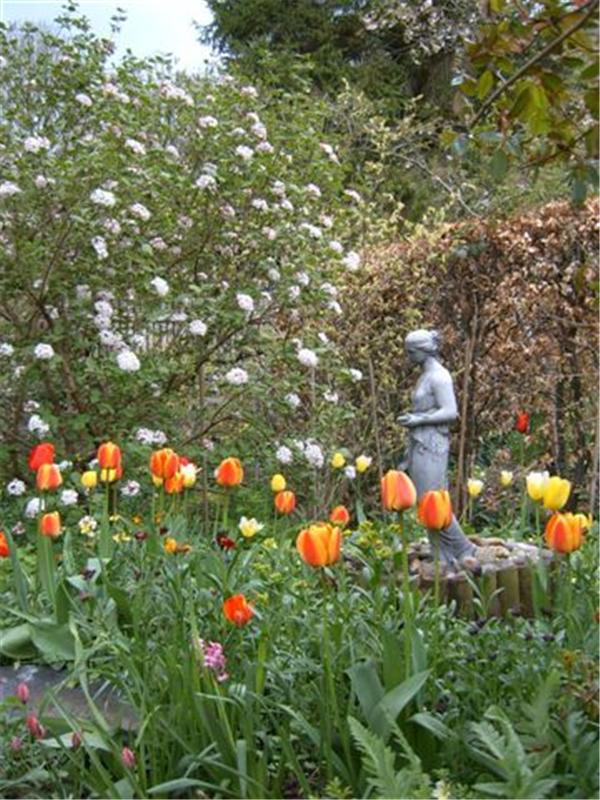 A trot around Ivy House Garden with Alfie - National Garden Scheme