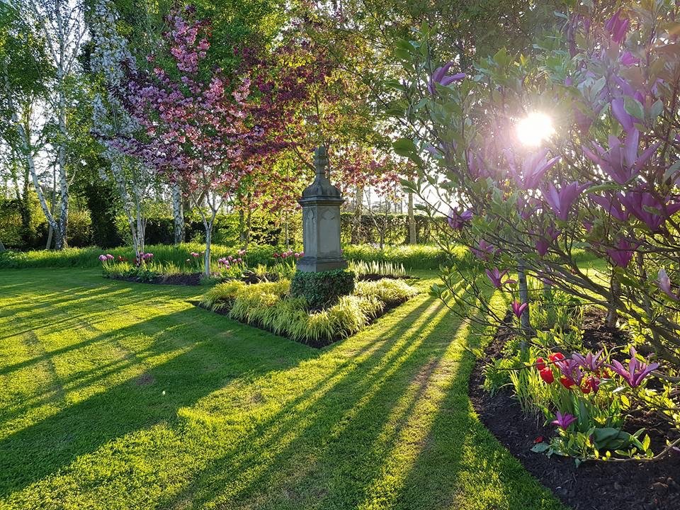 Sunlight over garden