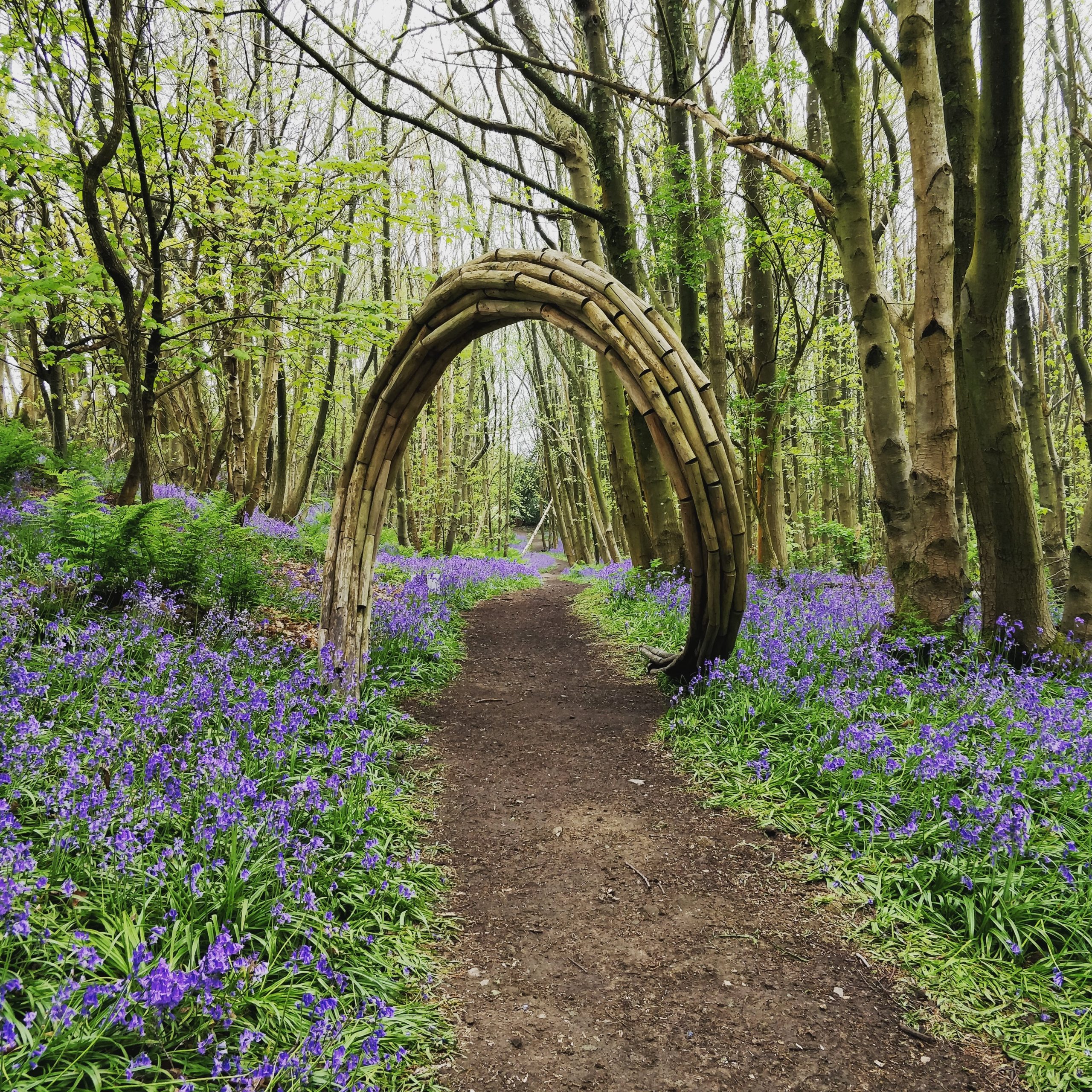 Willow sculpture