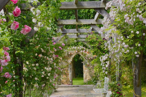 Watergate House, Canterbury: A Haven Of Tranquility - National Garden 