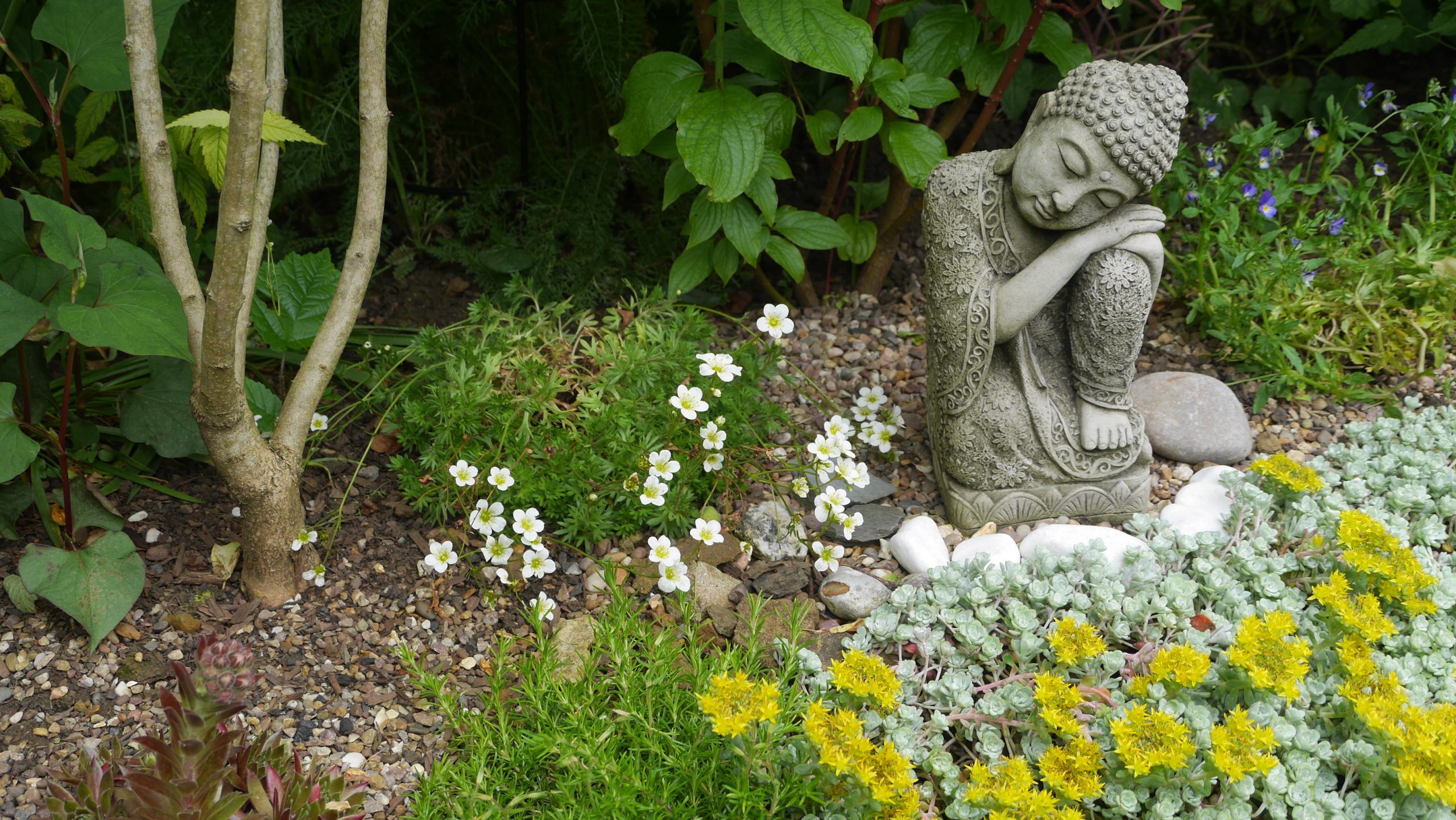 garden meditation