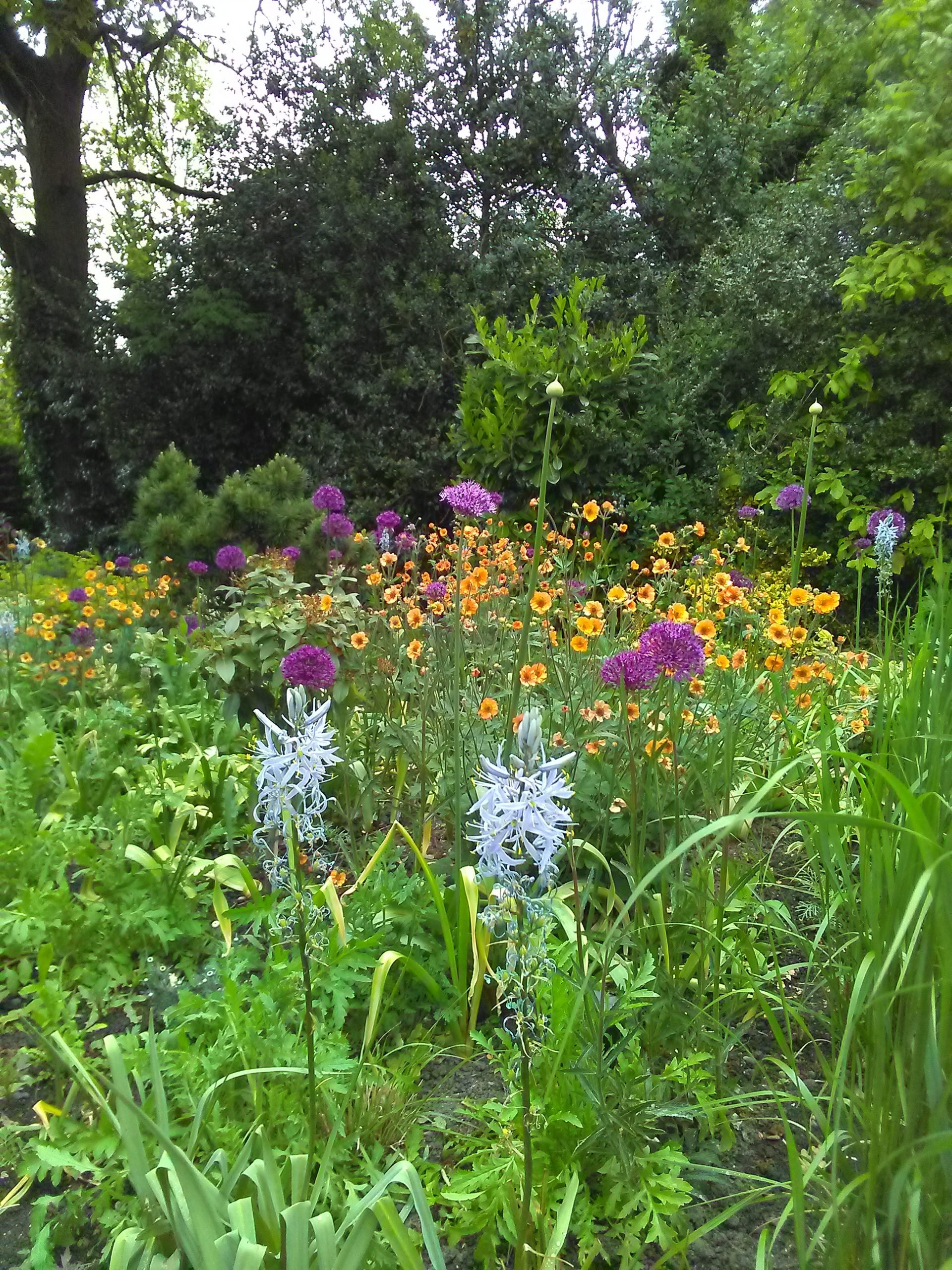 36 Potters Lane; a mini masterpiece National Garden Scheme