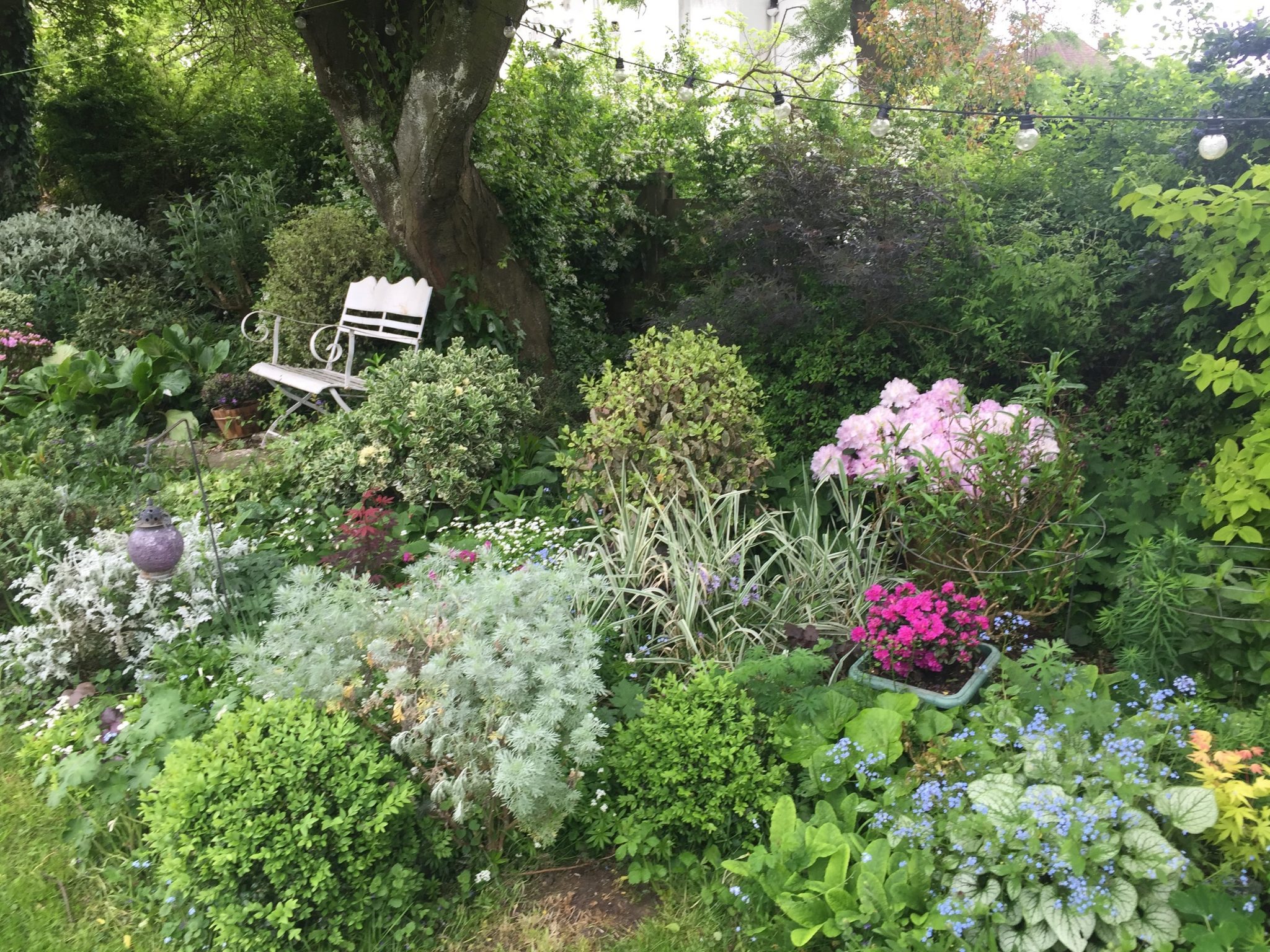 Hilltop, London: a slice of country life - National Garden Scheme