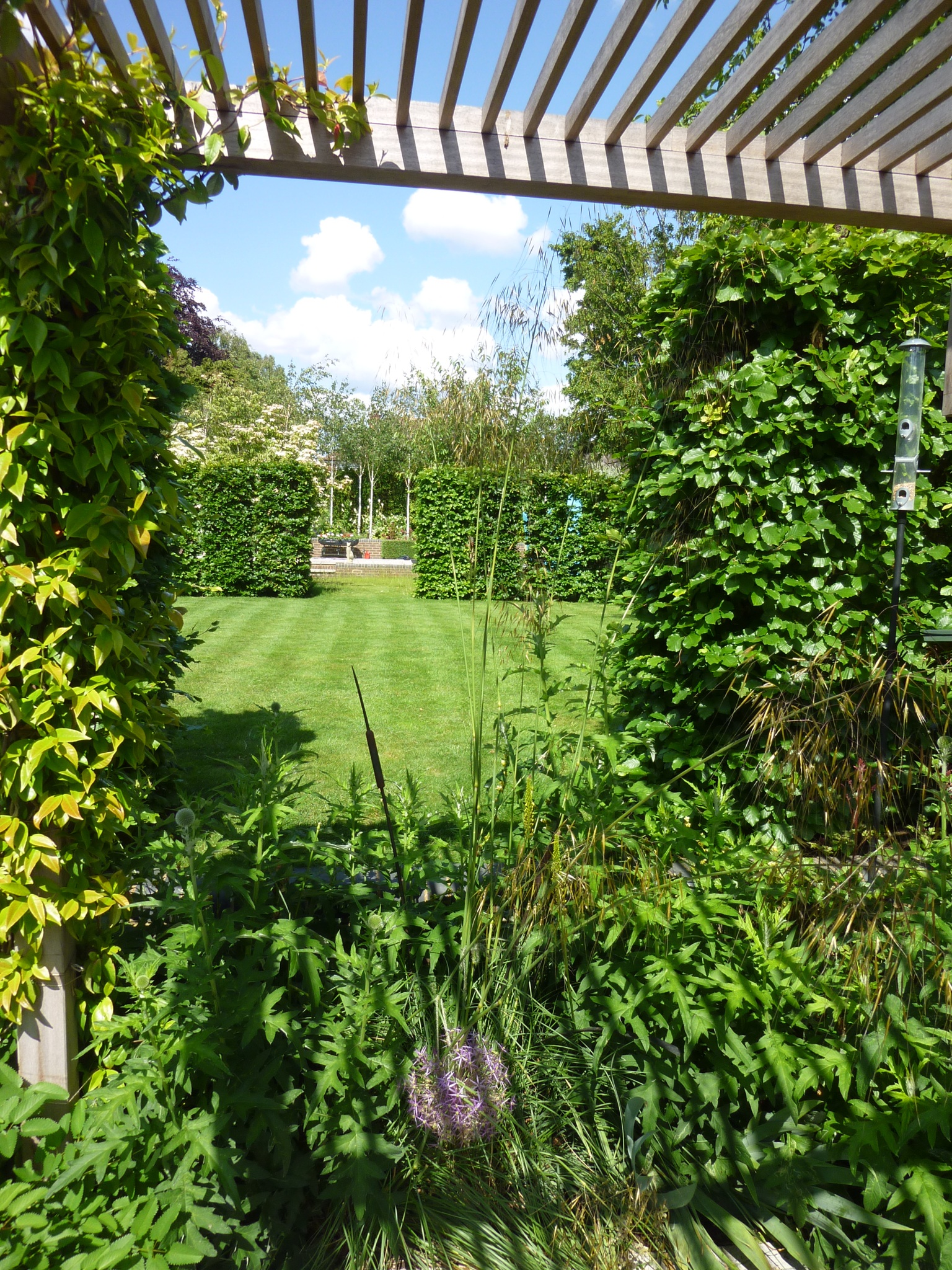 Marcus 15 The Avenue, Cheam National Garden Scheme