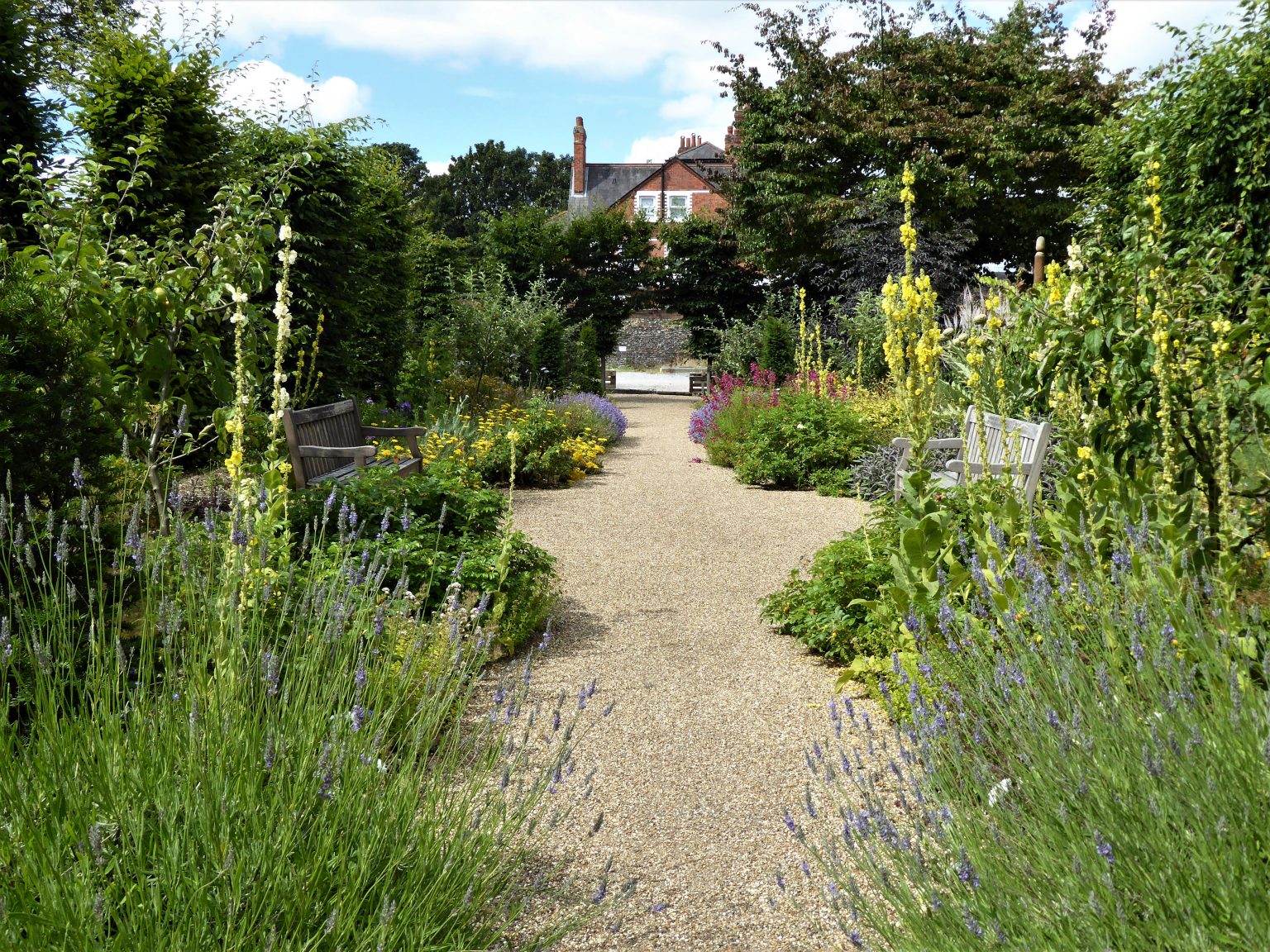 Watlington House, Reading; a garden for the future with a link to the