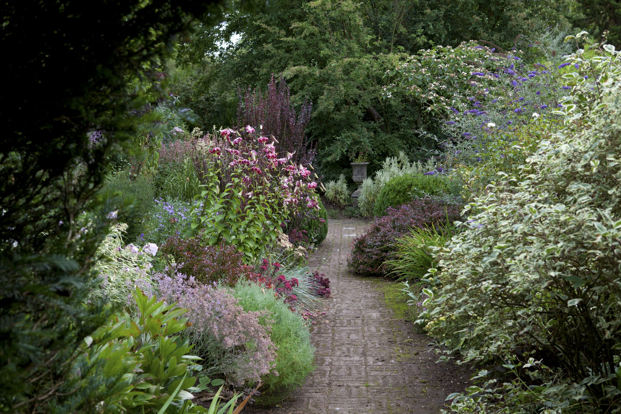 Hambledon House, Hampshire; Hart's delight - National Garden Scheme