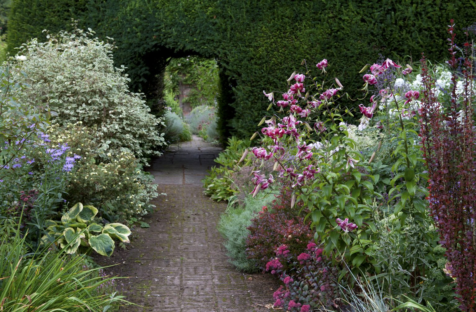 Hambledon House, Hampshire; Hart's delight - National Garden Scheme