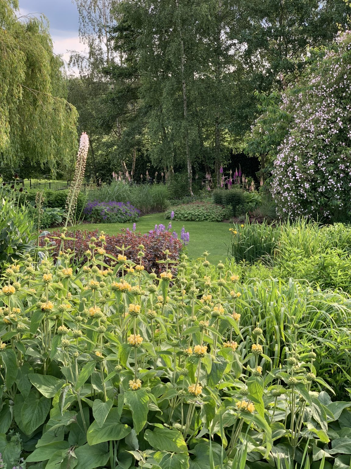 Havoc Hall, Yorkshire; in harmony with nature - National Garden Scheme