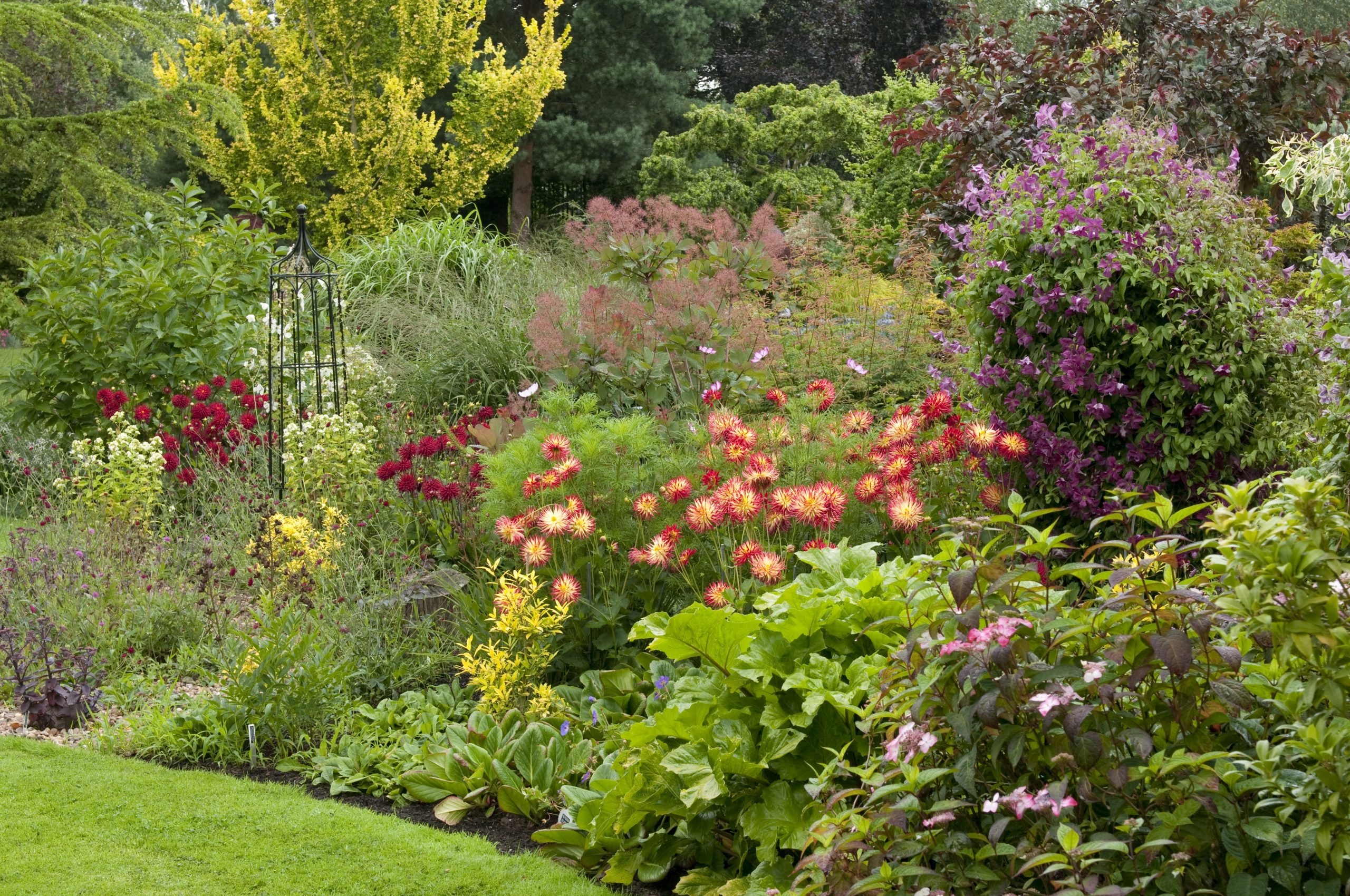 John's Garden, Staffordshire; step into nature - National Garden Scheme