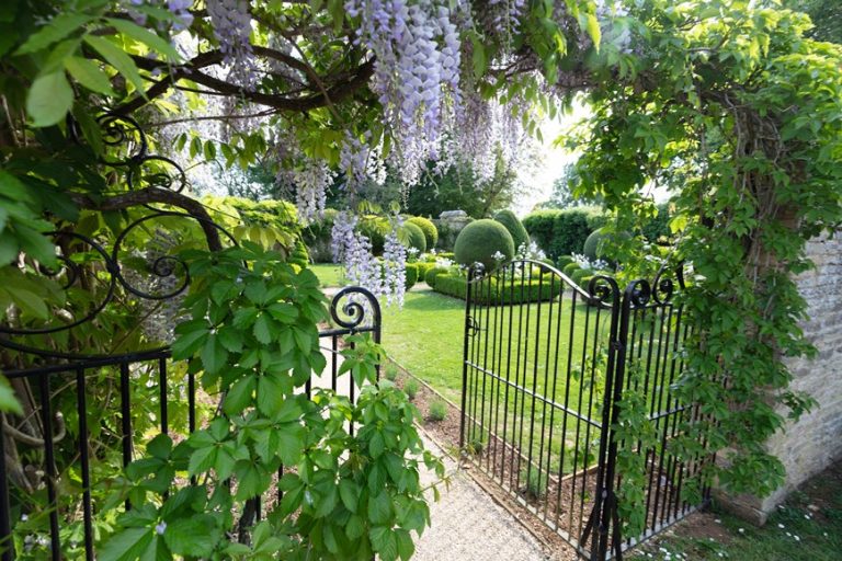 Charlton Down House; early summer memories National Garden Scheme