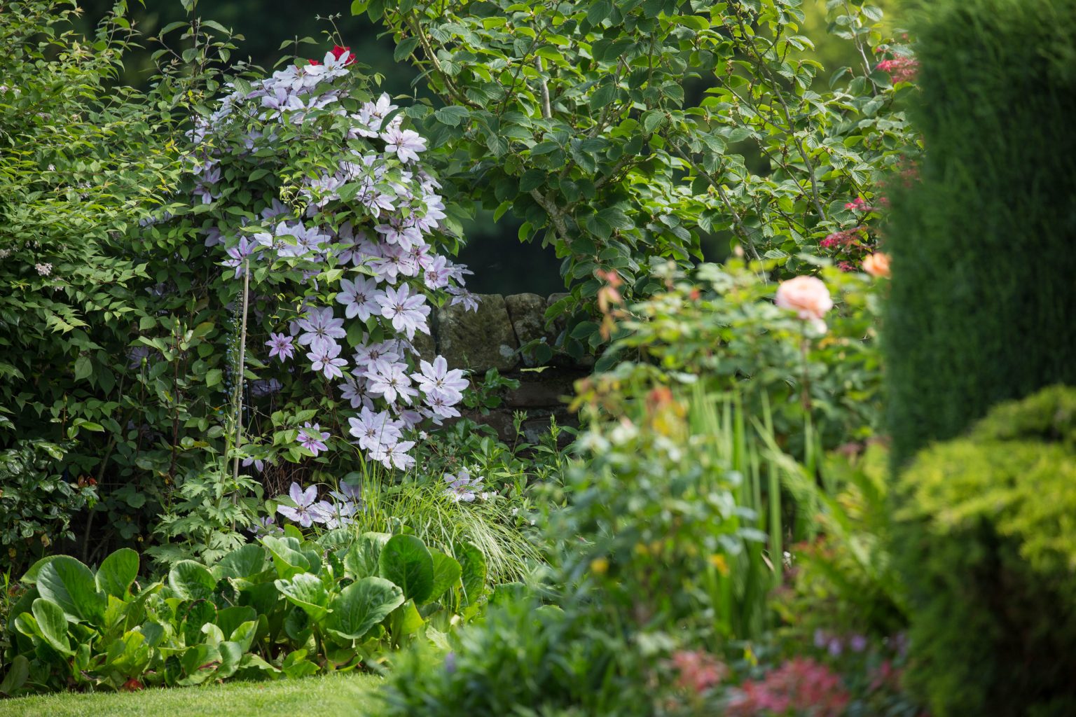 Sambrook Manor, Shropshire; a romantic country retreat National