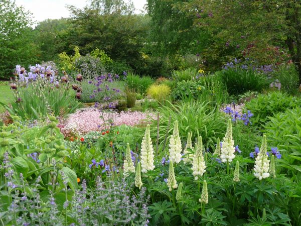 How well do you know your garden? - National Garden Scheme