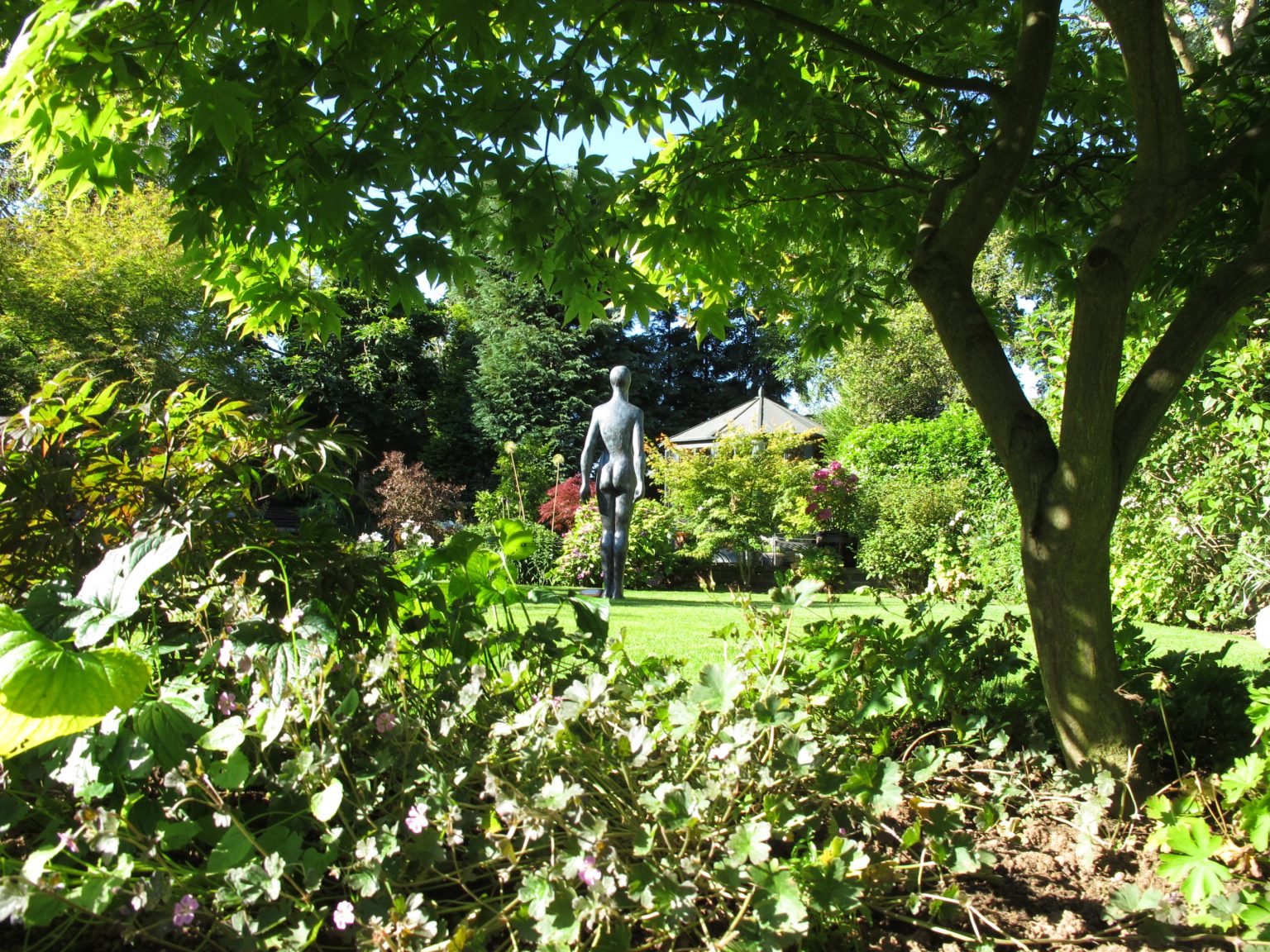 In a lockdown garden; 56 St Agnes Road, Birmingham National Garden Scheme