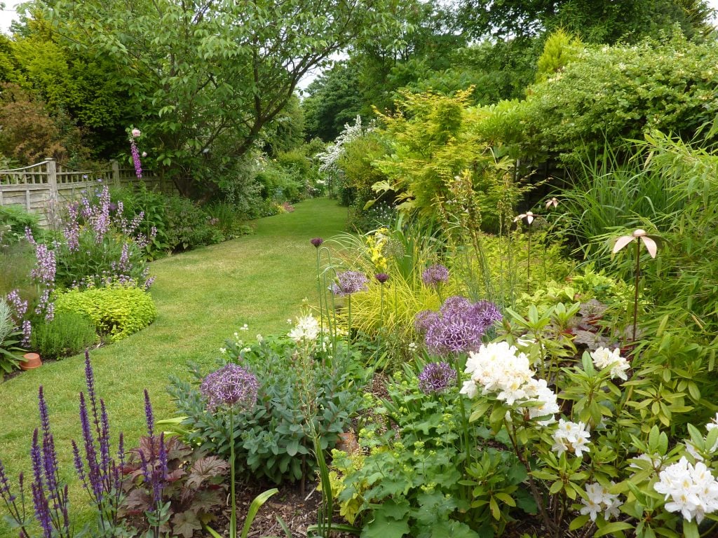 Garden in summer