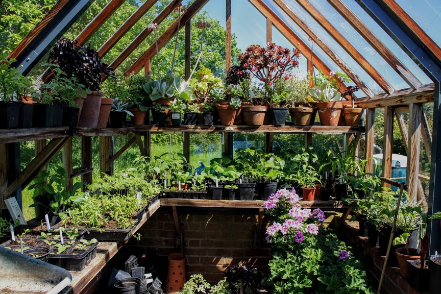 Greenhouse full of plants and pots in spring