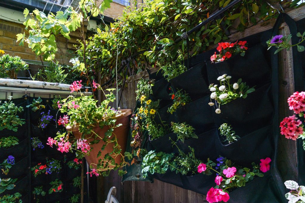 Living wall and hanging baskets in an urban garden