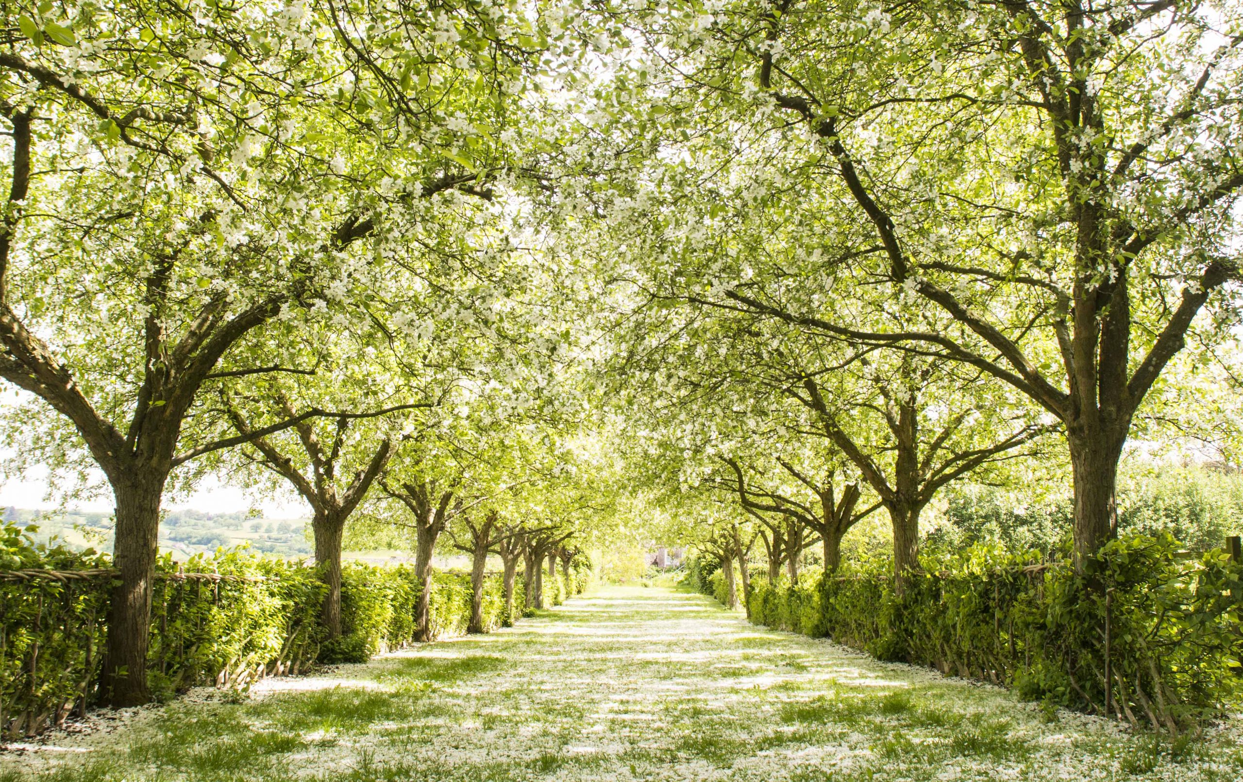 Yeo Valley Organic Garden