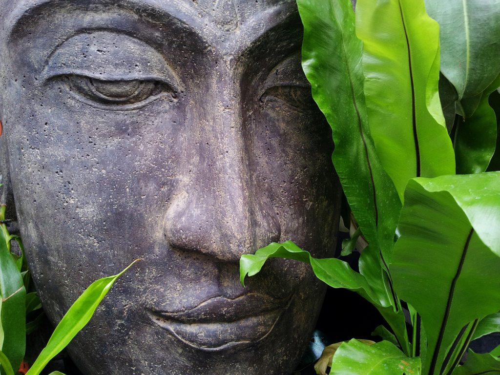 Garden meditation day