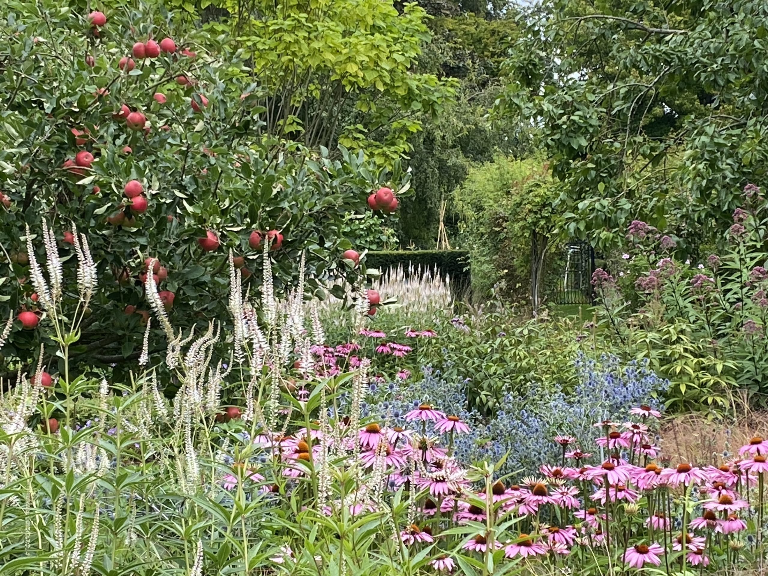Broadleas House Gardens Wiltshire
