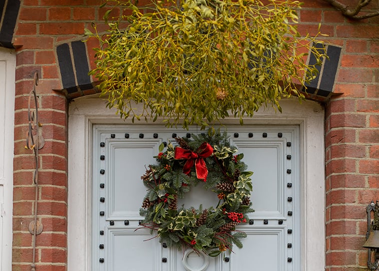 Mistletoe above the door