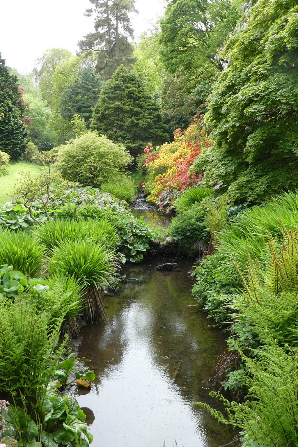 Northern Ireland gardens join the National Garden Scheme National