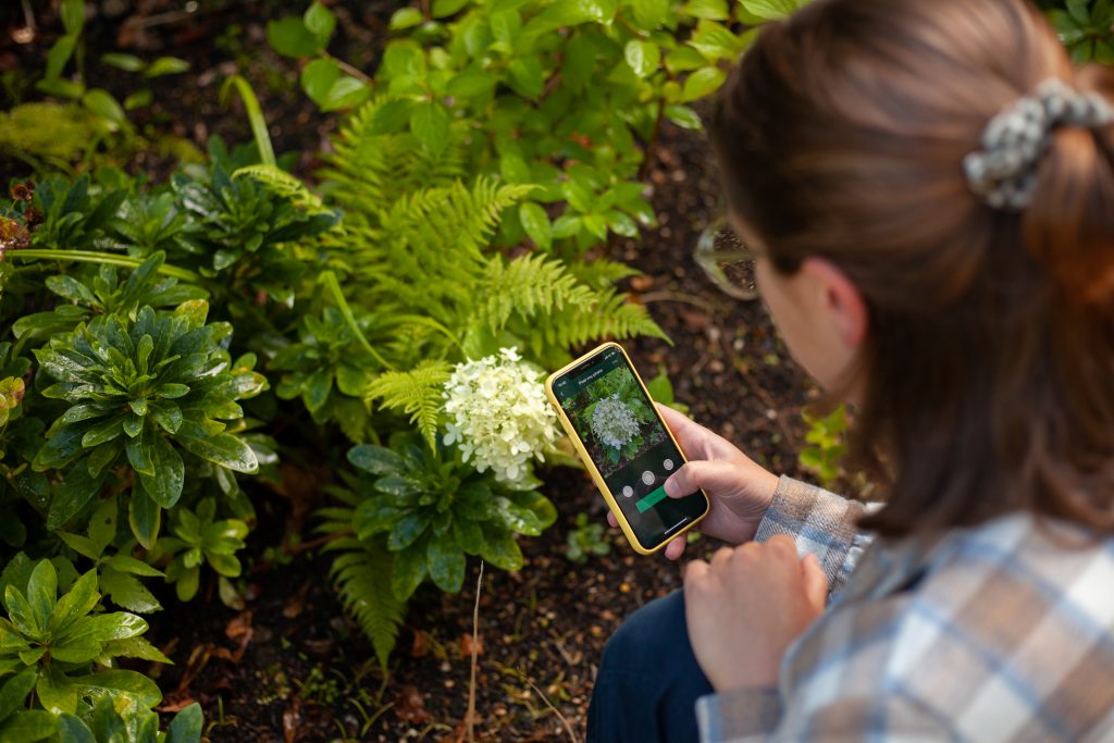 You can use the Iris App to identify plants and learn how to look after them