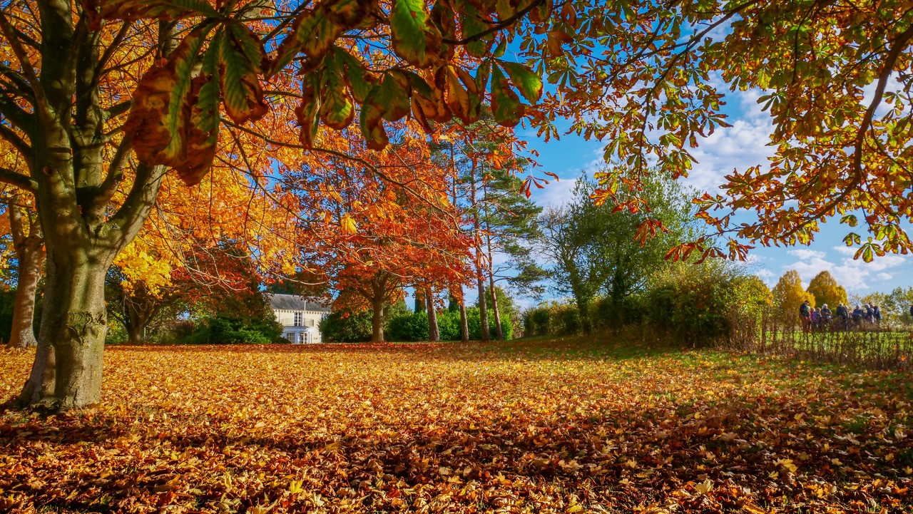 Shrubs Farm Essex; sharing a passion for trees with the National Garden ...