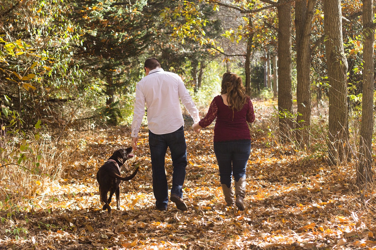 A woodland walk is great for your health - National Garden Scheme