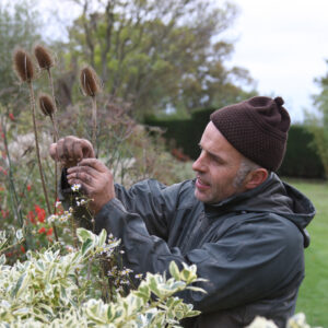 Fergus Garrett, Great Dixter