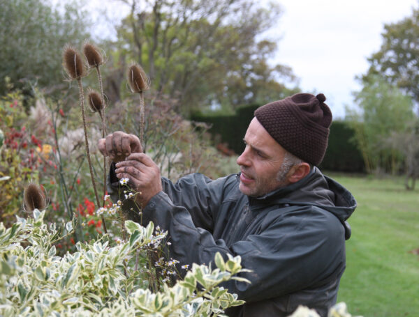 Fergus Garrett, Great Dixter