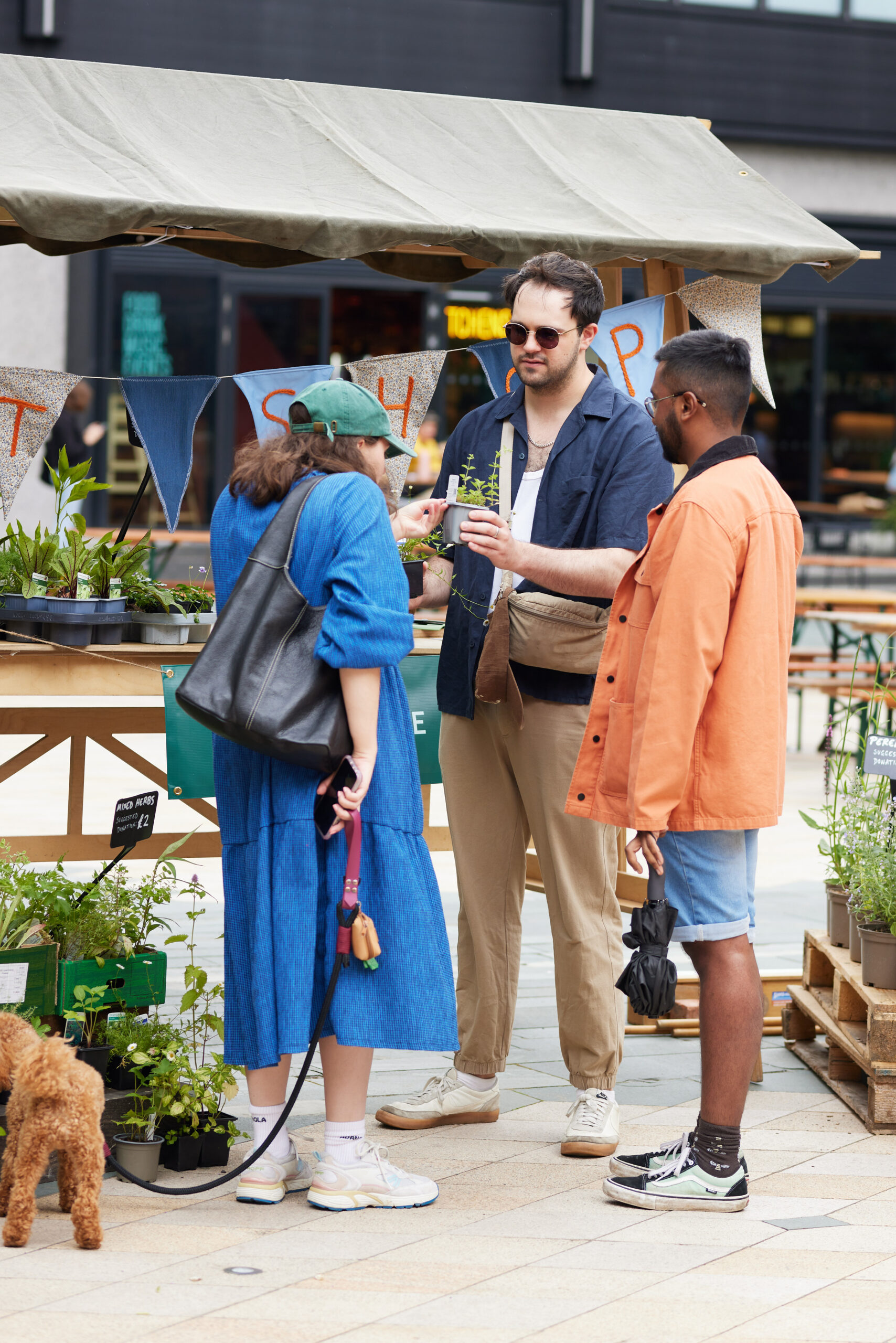 PLANT MCR Great British Garden Party PLant sale