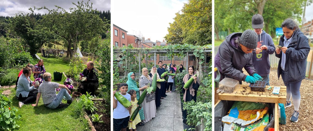 Community Garden Montage