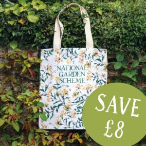 Spring offer - Tote bag and mug