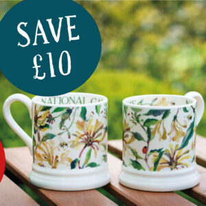 Spring offer - pair of honeysuckle mugs