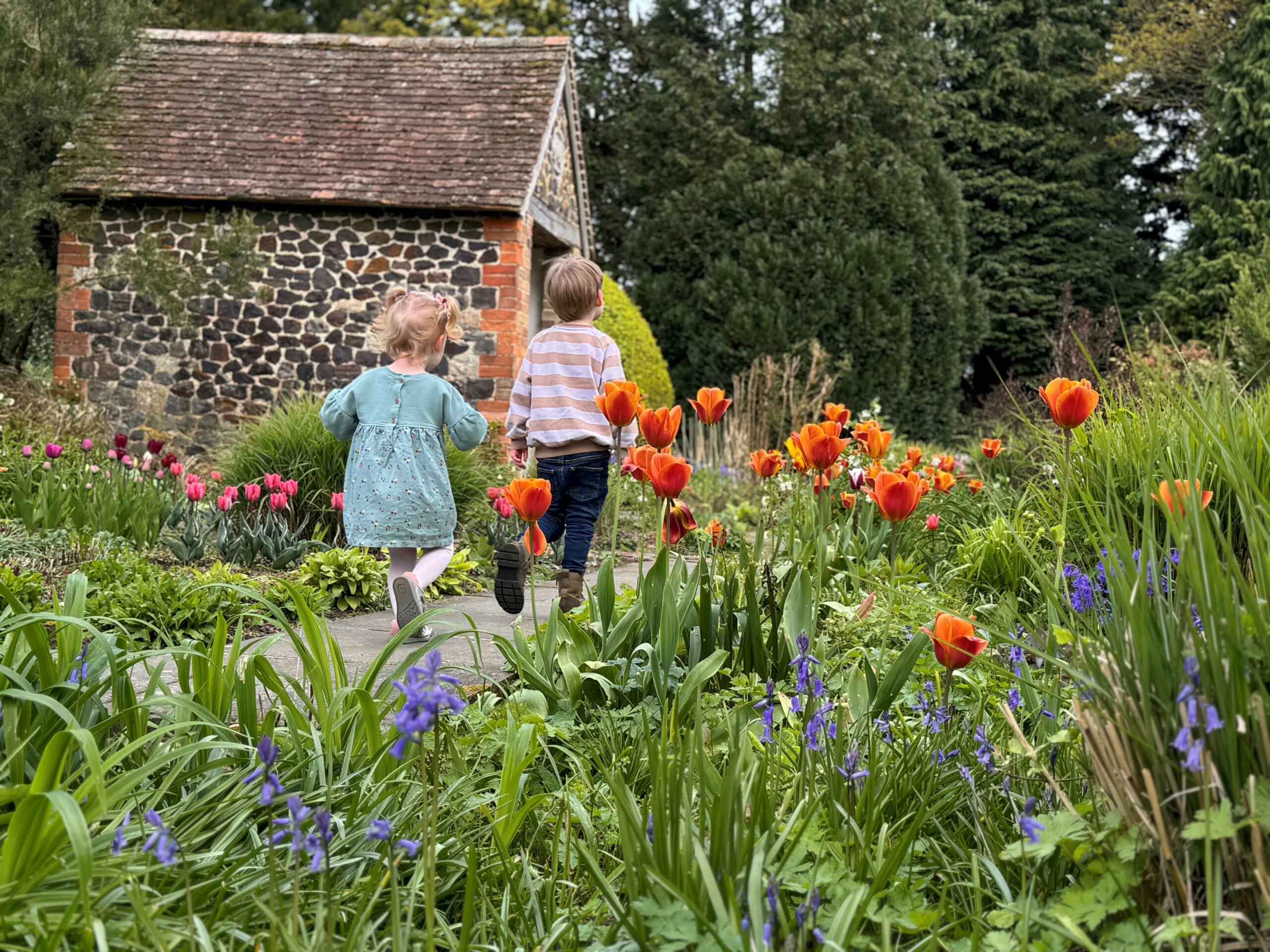 Children in Garden _ Vikki Rimmer