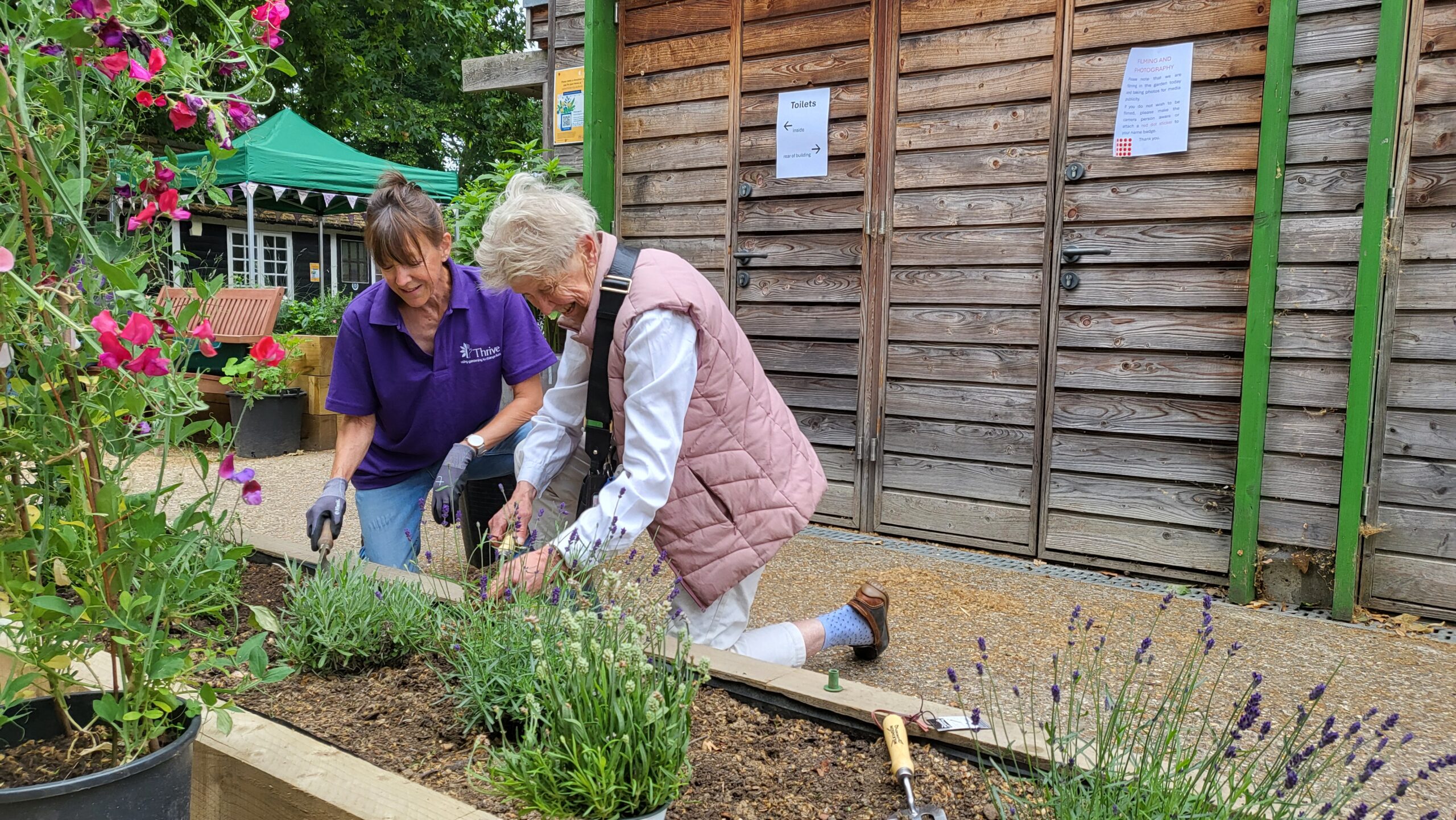 The opening of a new Sanctuary Garden supporting vulnerable people in London took place yesterday at Thrive, the gardening for health charity. The garden located at Thrive’s London centre in its Main Garden in Battersea Park provides a safe accessible space for people living with a range of health conditions or disabilities, especially those with dementia and their carers. Visitors to the garden and those attending Thrive programmes can benefit from gentle gardening activity, conversation, quiet reflection and enjoyment of wildlife and the changing seasons. Sensory beds of fragrant blooms, attractive foliage, herbs and vegetables stimulate the senses supporting mood enhancement and improved cognitive functioning and alertness, while aiding memories and feelings of pleasure. Multi-level raised planting areas encourage movement, co-ordination and dexterity, and sheltered seating areas offer a place for table-top activity, increased socialisation and respite. The garden’s level surface provides ease of access with wide pathways and no dead ends, allowing people with balance and mobility needs and wheelchair users to move about with confidence. Raised borders and a lattice fence give a sense of seclusion and safety without feeling restricted, retaining an open view of the garden. The new Sanctuary Garden will support Thrive London’s Garden Thyme programme. Here, trained practitioners help people living with dementia or memory loss to engage in gentle gardening activities and nature-based crafts to enhance their wellbeing and quality of life. Each session is designed to stimulate the senses, evoke memories and maintain or improve physical abilities through connection with nature and plants while providing social interaction with others. At the opening Thrive CEO Ben Thomas warmly welcomed guests saying: “At Thrive we support people to live well through gardening. The Sanctuary Garden is enabling us to support more people to improve their health and wellbeing, through spending time in nature, undertaking meaningful gardening activities and joining a positive community.” Sensory stimulation is invaluable for people with early onset dementia. Engagement with nature and gardening drives behaviours that reduce the risks of dementia, delaying the onset, slowing the decline and reducing social isolation. Gardening activity in older age has also been associated with cognitive benefits over the course of life, with those who spend time gardening shown to have better cognitive function in later life than those who do not. The creation of the Sanctuary Garden was generously funded by the Wolfson Foundation, The National Garden Scheme and the Friends of Battersea Park. Thanks to Robert Dyas and Forest Garden for their kind donation of features for the garden. Thrive is immensely grateful to its volunteers and supporters who enable the charity to deliver therapeutic gardening to even more people. To learn more about visiting the Sanctuary Garden and attending a programme at Thrive’s London centre visit thrive.org.uk/london