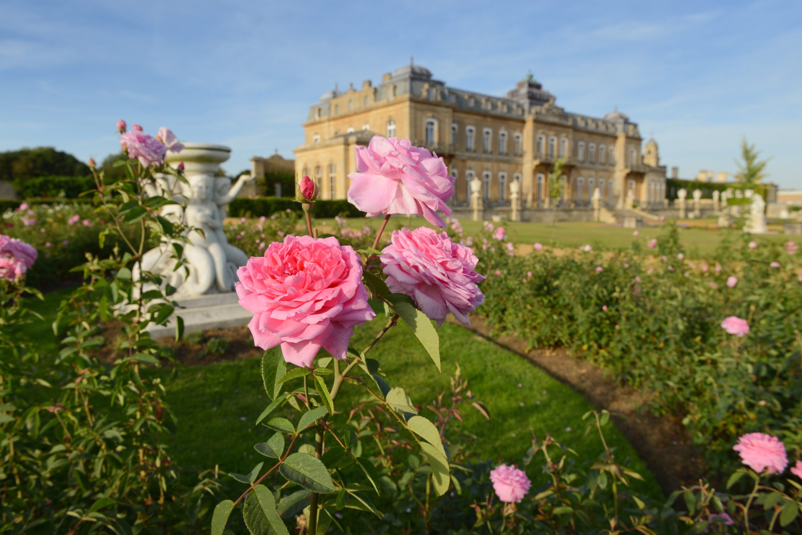 Wrest Park with roses