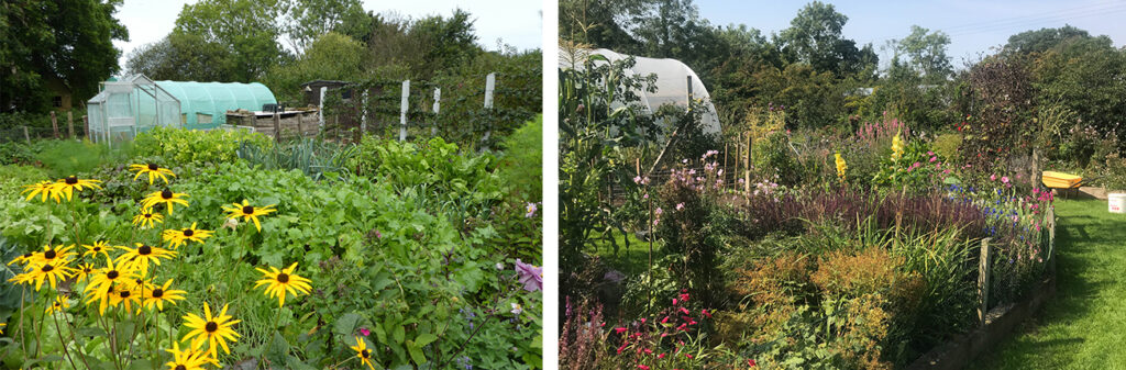 Helen's Bay Organic